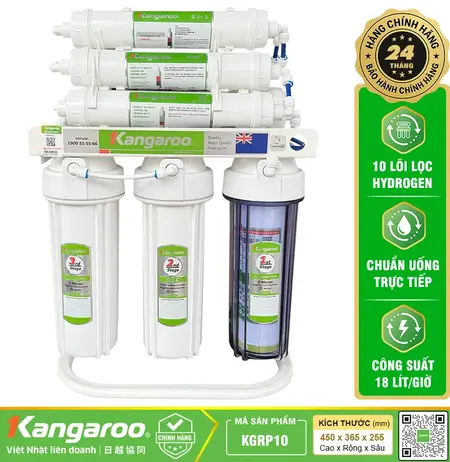 Bản 10 lõi Hydrogen