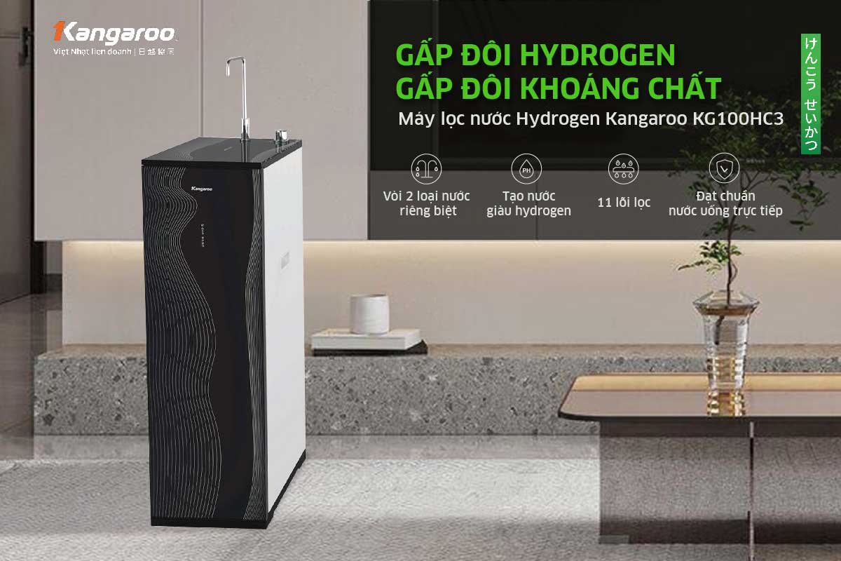 Máy lọc nước Kangaroo KG100HC3