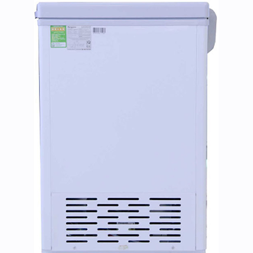 Tủ đông kháng khuẩn Kangaroo KG399IC1 - 286 lít
